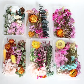 1Box Tõeline Segatakse Kuivatatud Lilled, Taime Vaik Ehted Kuivad Taimed Pressitud Lilled Tegemine Käsitöö DIY Photo Frame Tarvikud