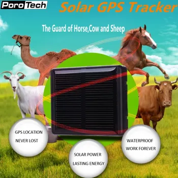 10tk/palju pet-GPS-tracker päikesepaneel anti-kaotanud Loomade GPS-positsiooni maailmas, vaba platvorm reaalajas gsm-gps jälgimise V26